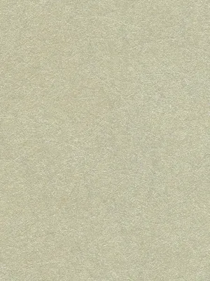 Обои для стен Osborne & Little Wallpaper Album 6 CW5410-09