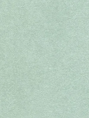 Обои для стен Osborne & Little Wallpaper Album 6 CW5410-20