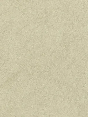 Обои для стен Osborne & Little Wallpaper Album 6 CW5410-28