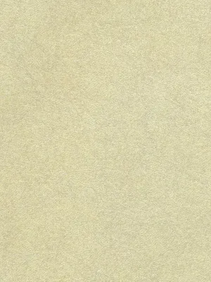 Обои для стен Osborne & Little Wallpaper Album 6 CW5410-40