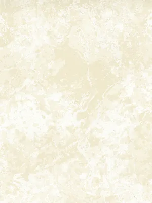 Обои для стен Osborne & Little Wallpaper Album 6 CW6003-07