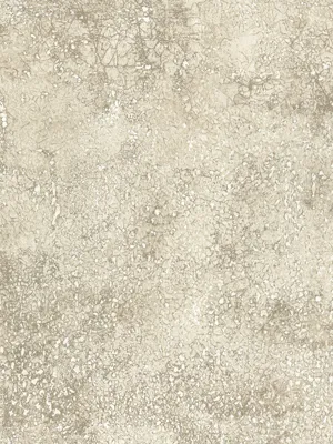 Обои для стен Osborne & Little Wallpaper Album 6 CW6006-02