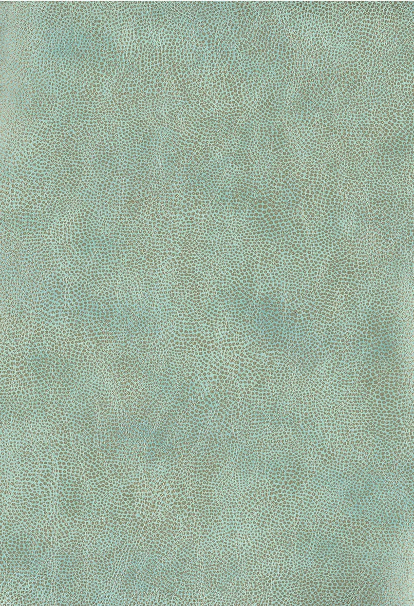 Обои для стен Osborne & Little Metropolis Vinyls 2 W6331-01