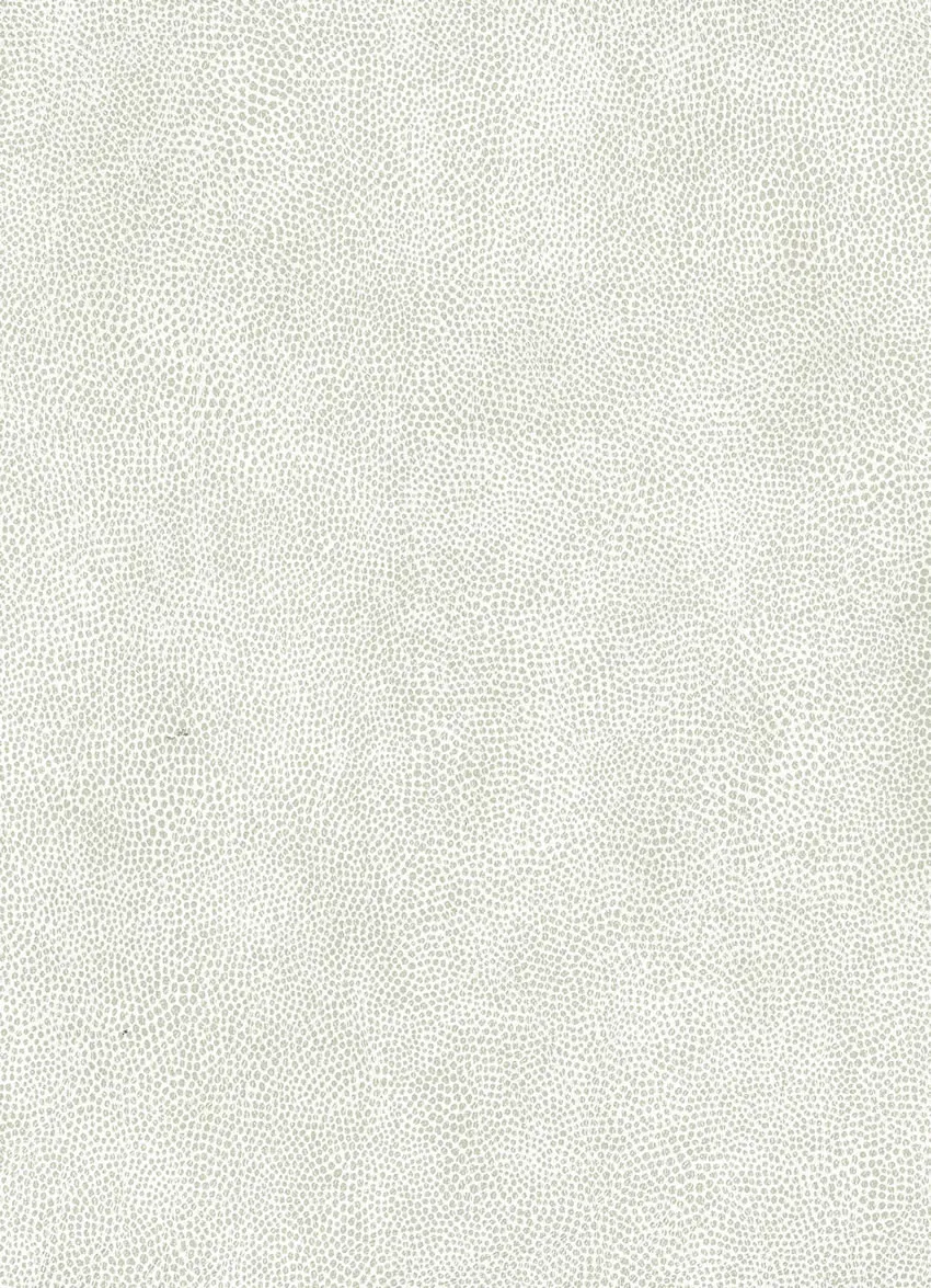 Обои для стен Osborne & Little Metropolis Vinyls 2 W6331-03