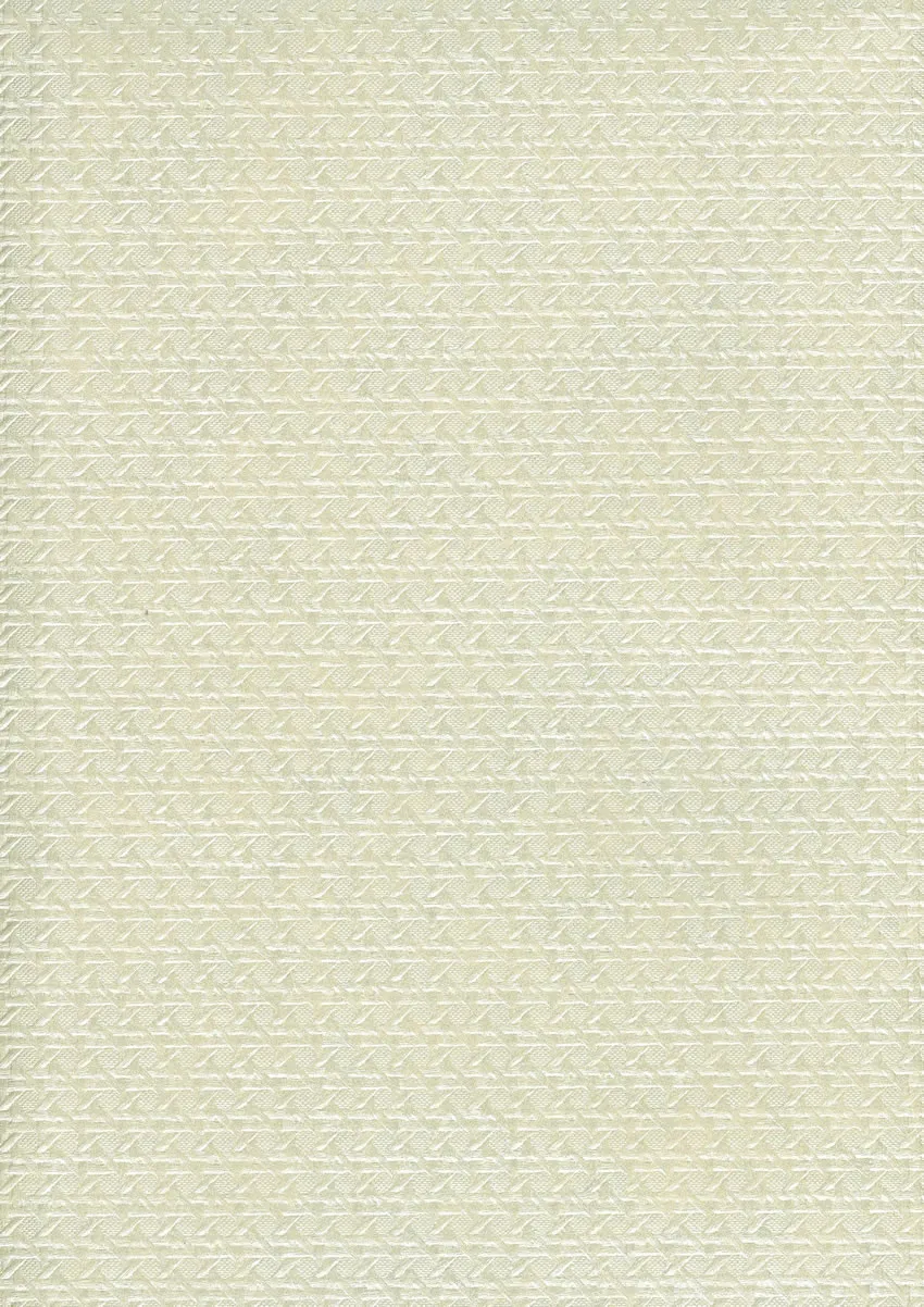 Обои для стен Osborne & Little Rabanna W6341-09