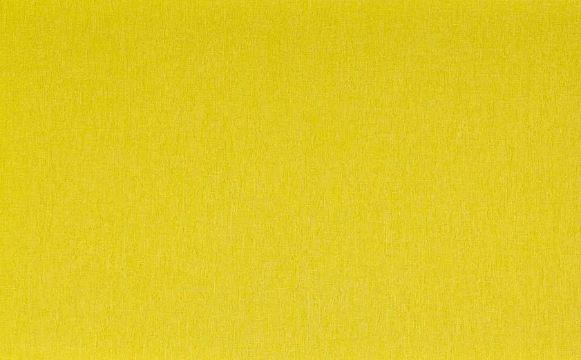 Обои для стен Eijffinger United 331374