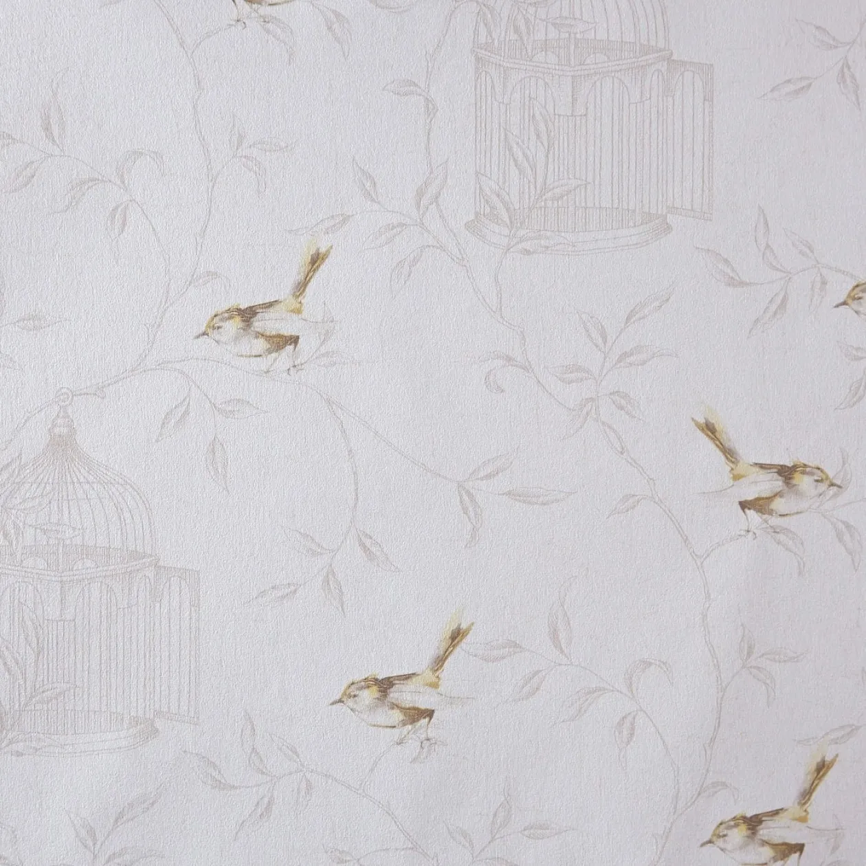 Обои для стен Caselio Curiosity 65451064