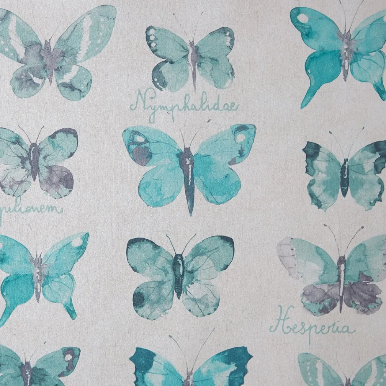 Обои для стен Caselio Curiosity 65476100