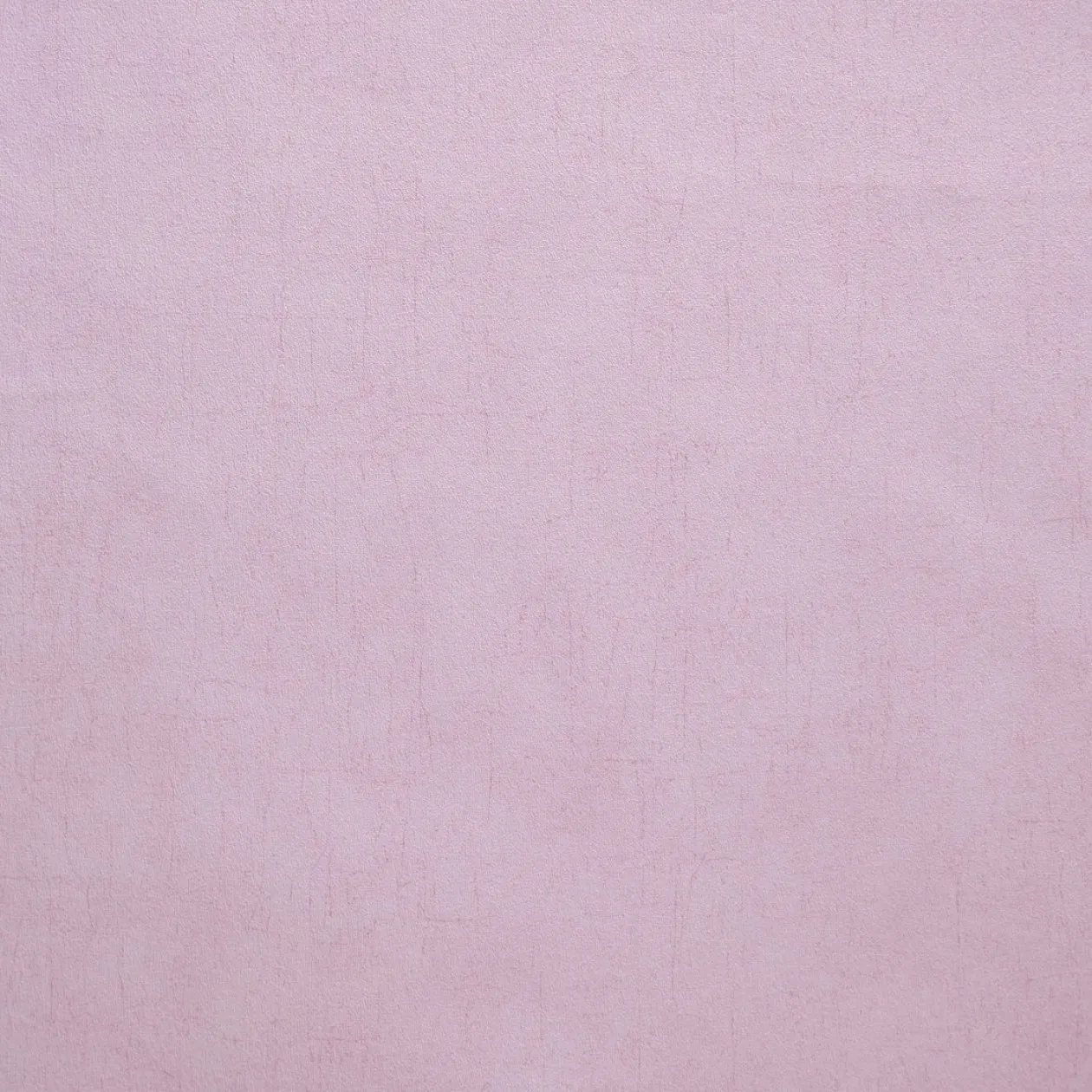 Обои для стен Caselio Curiosity 65505003