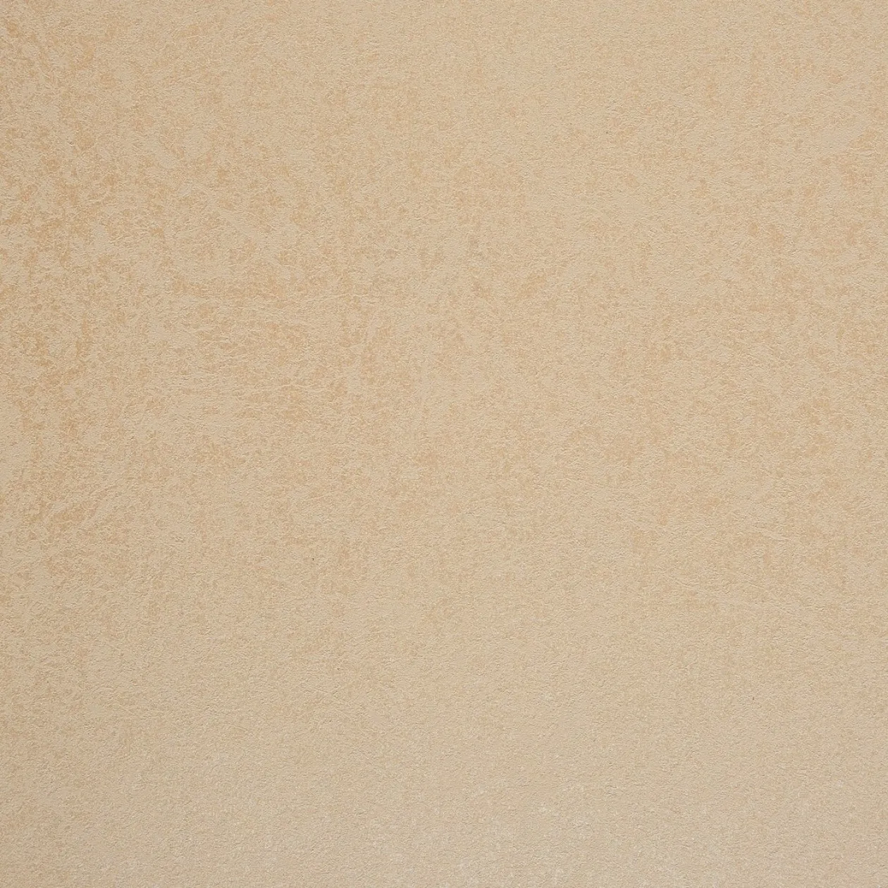 Обои для стен Caselio Duo 62941015 #1