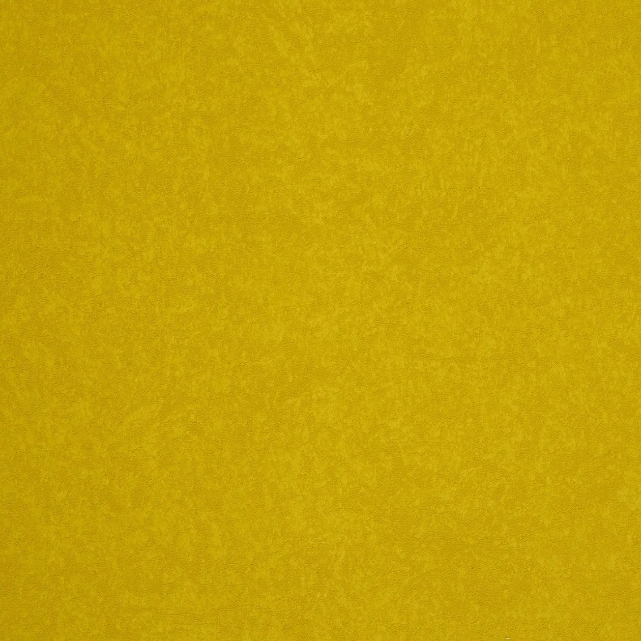 Обои для стен Caselio Duo 62947046 #1