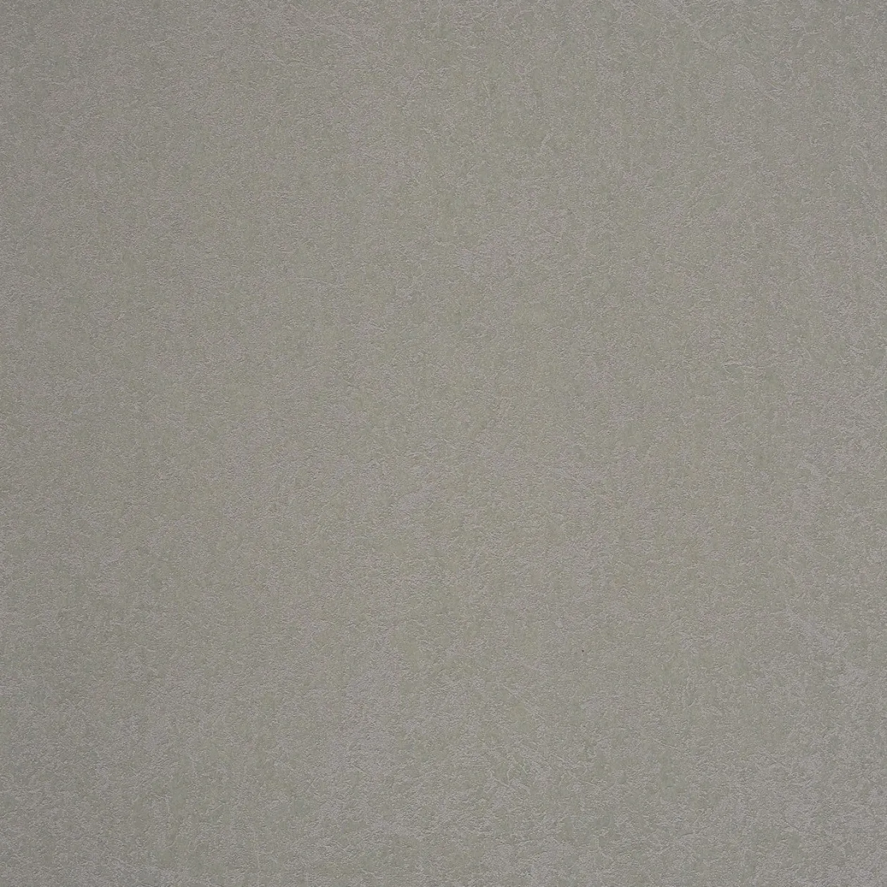 Обои для стен Caselio Duo 62949200 #1