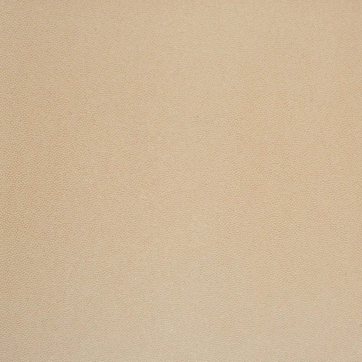 Обои для стен Caselio Duo 62951019 #1