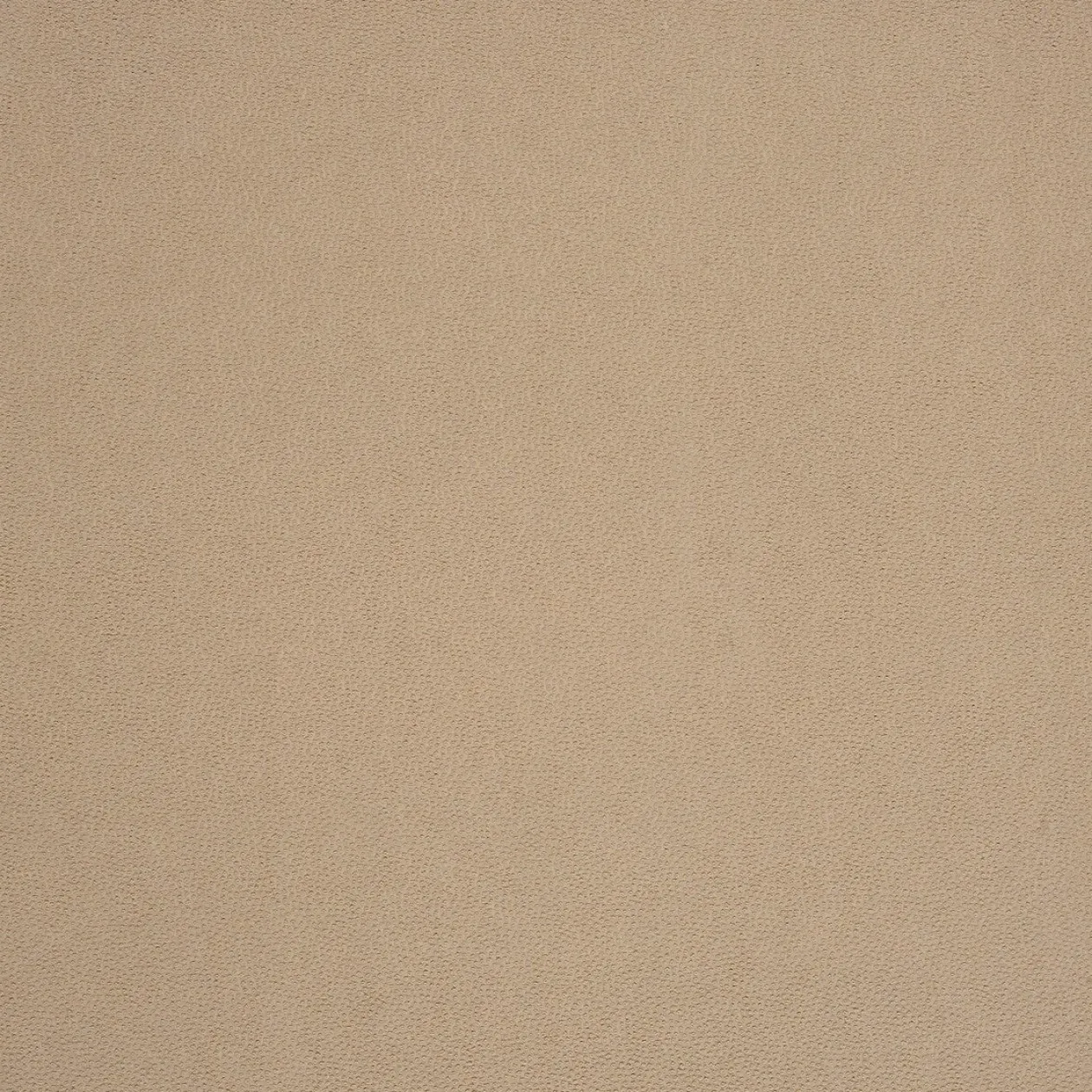 Обои для стен Caselio Duo 62951149 #1