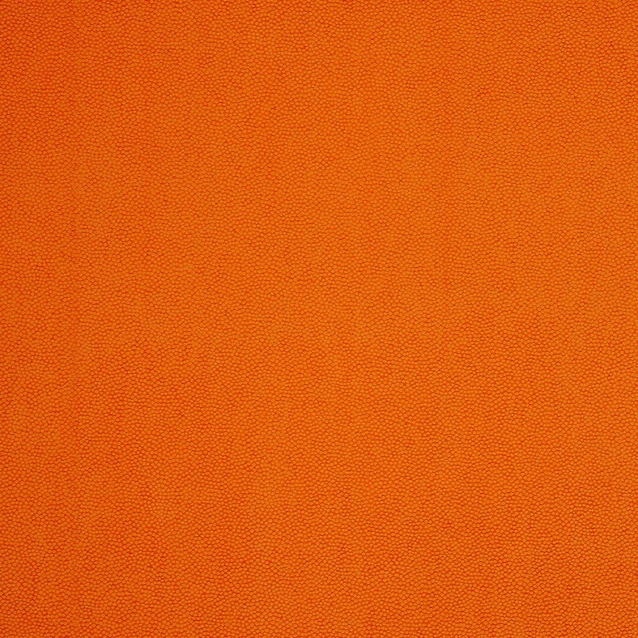 Обои для стен Caselio Duo 62953056 #1