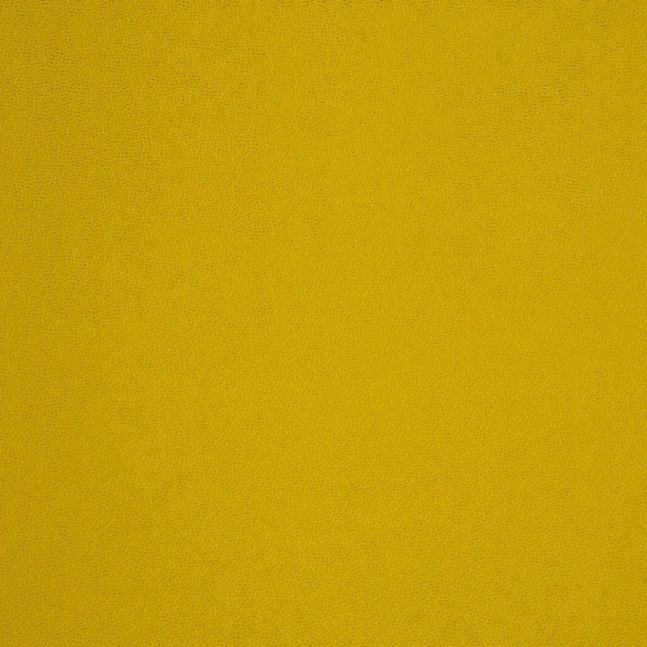 Обои для стен Caselio Duo 62957000 #1