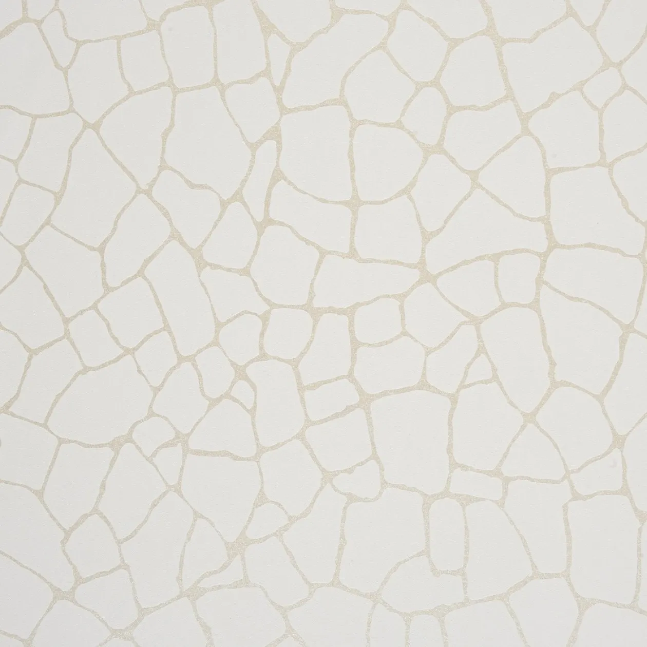 Обои для стен Caselio Duo 62980006 #1