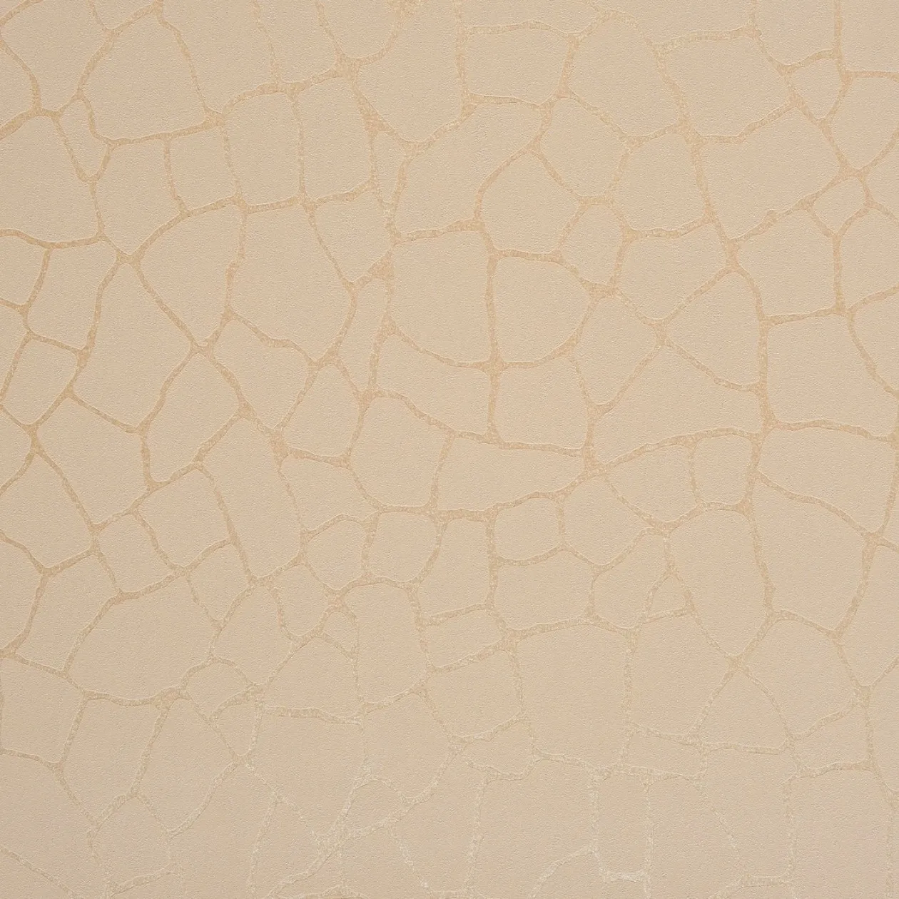 Обои для стен Caselio Duo 62981010 #1