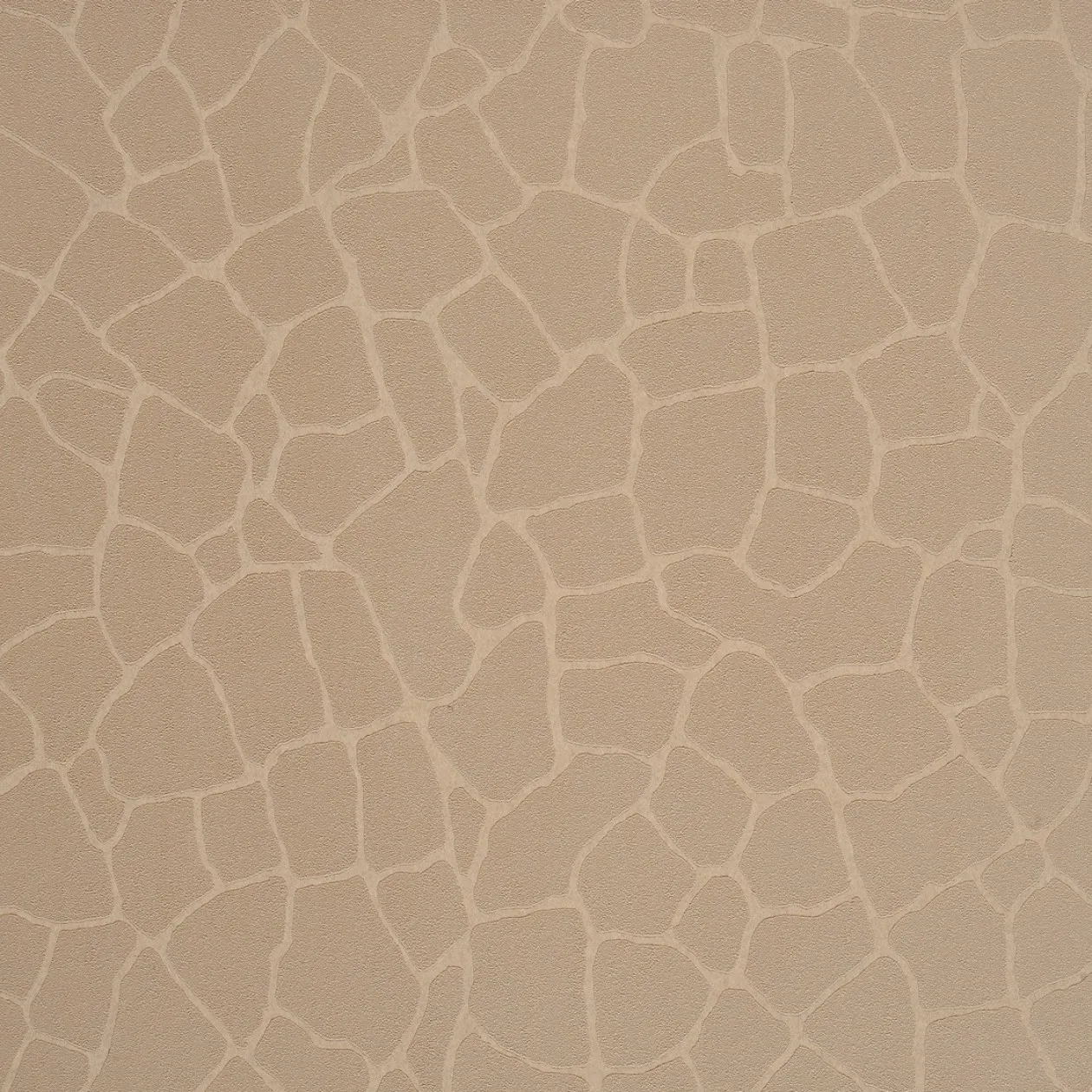 Обои для стен Caselio Duo 62981180 #1