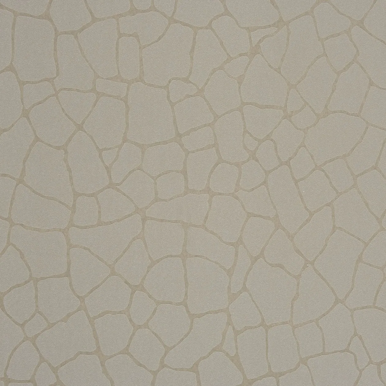 Обои для стен Caselio Duo 62989090