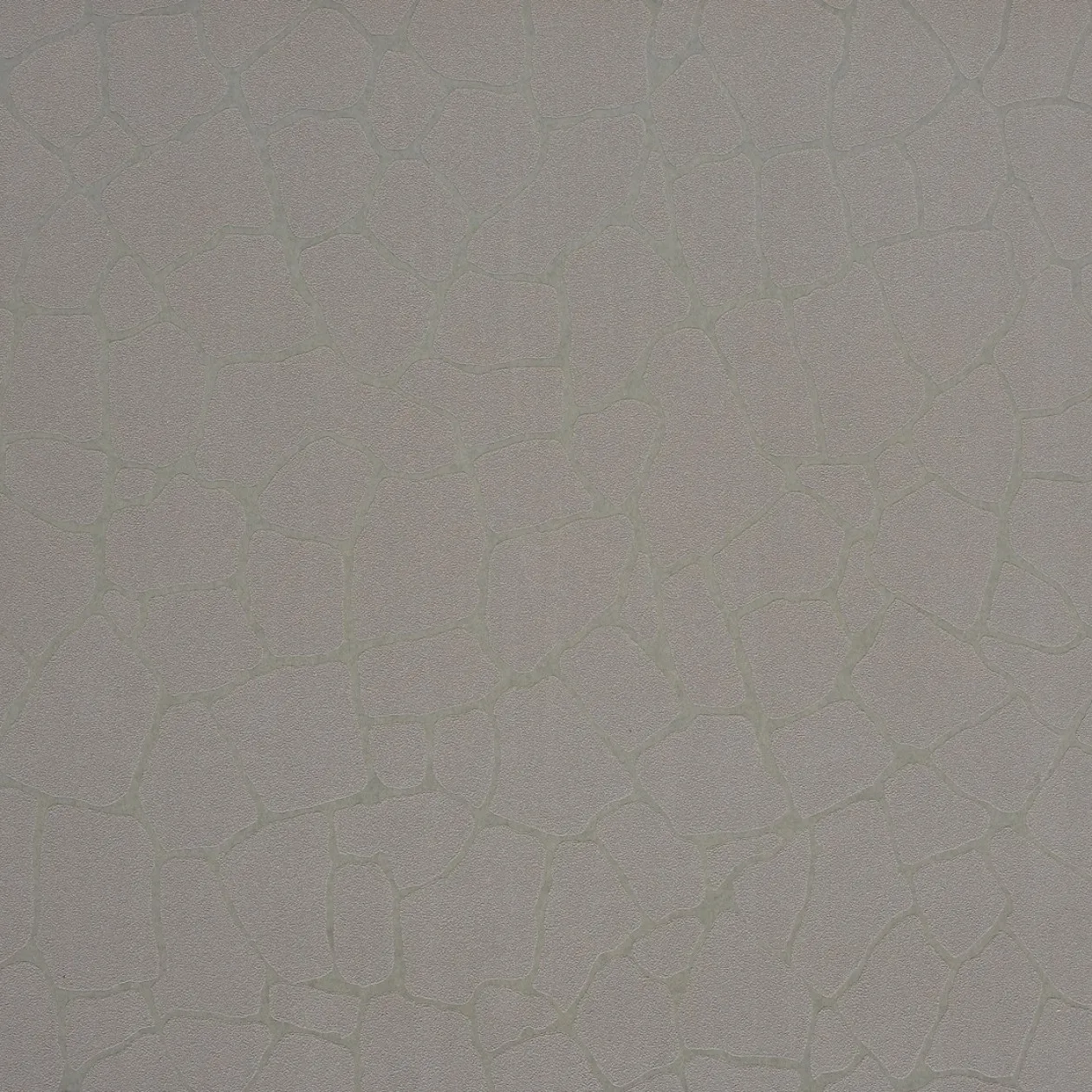 Обои для стен Caselio Duo 62989201