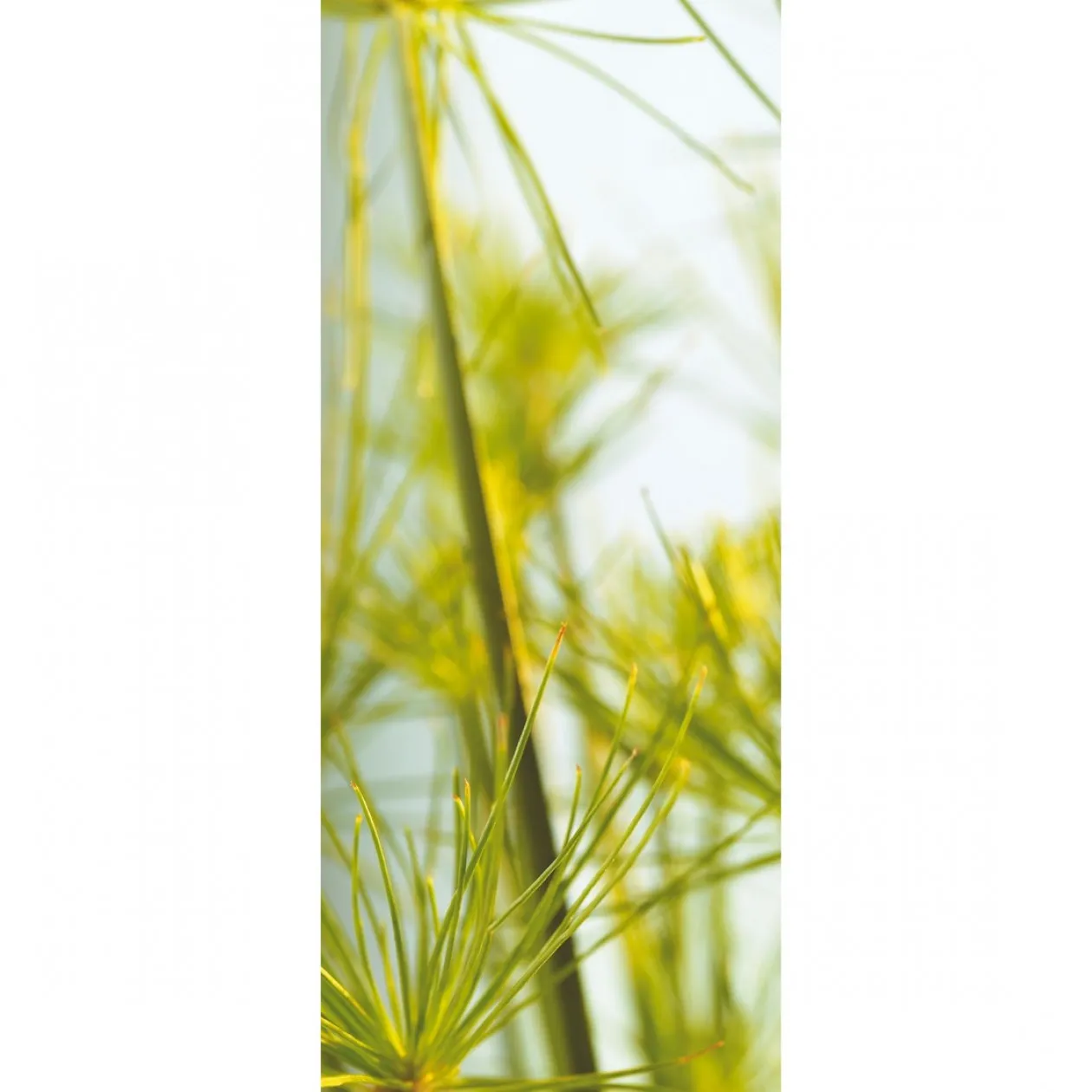 Обои для стен Caselio Duo 63047000