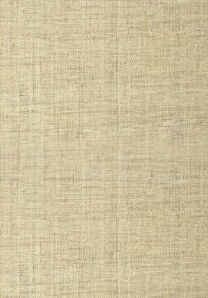 Обои для стен Thibaut Grasscloth Resource T41107