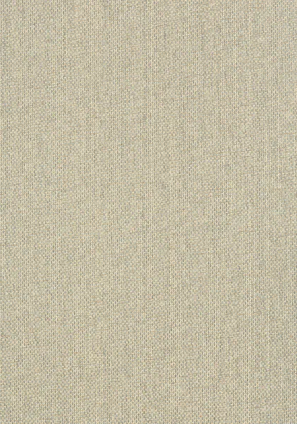 Обои для стен Thibaut Grasscloth Resource T41130