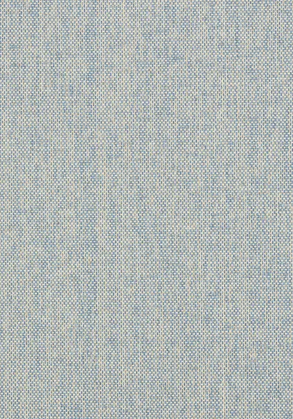 Обои для стен Thibaut Grasscloth Resource T41136