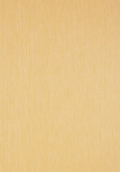 Обои для стен Thibaut Grasscloth Resource T5709