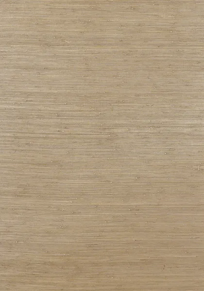 Обои для стен Thibaut Grasscloth Resource Volume 2 T3696