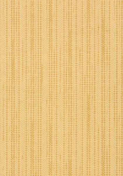 Обои для стен Thibaut Grasscloth Resource Volume 3 T41101