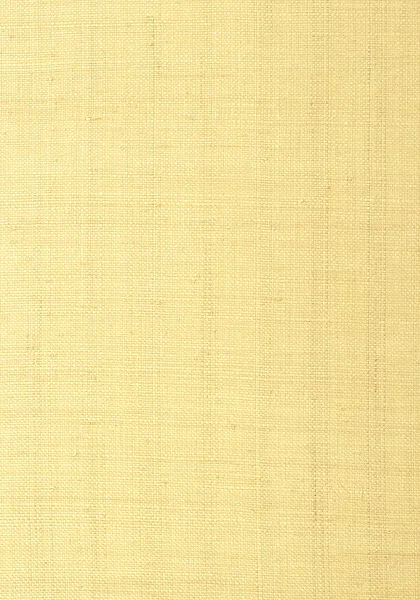 Обои для стен Thibaut Grasscloth Resource Volume 3 T41108