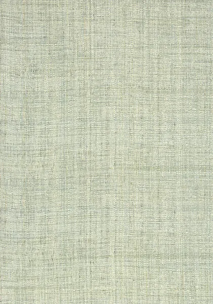 Обои для стен Thibaut Grasscloth Resource Volume 3 T41121