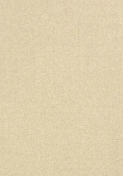 Обои для стен Thibaut Grasscloth Resource Volume 3 T41126
