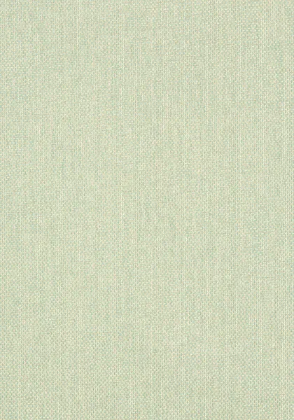 Обои для стен Thibaut Grasscloth Resource Volume 3 T41133