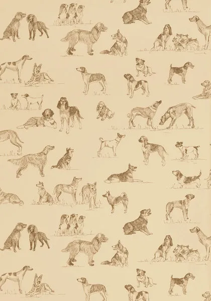 Обои для стен Thibaut Menswear Resource T1042