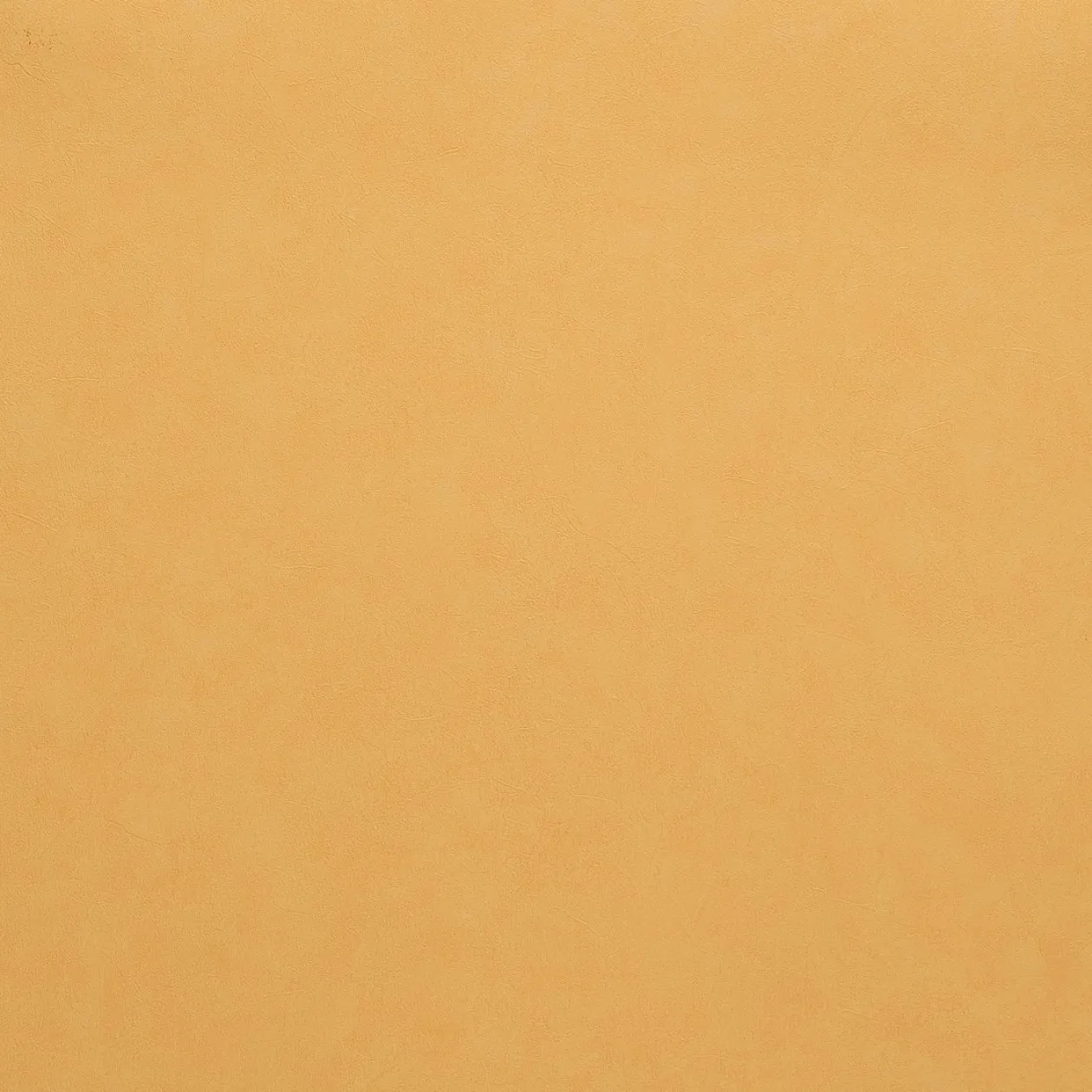 Обои для стен Caselio Romarin 60342163