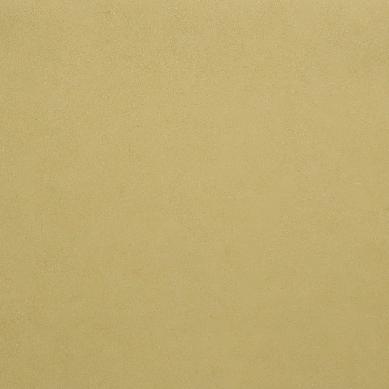 Обои для стен Caselio Romarin 60347059