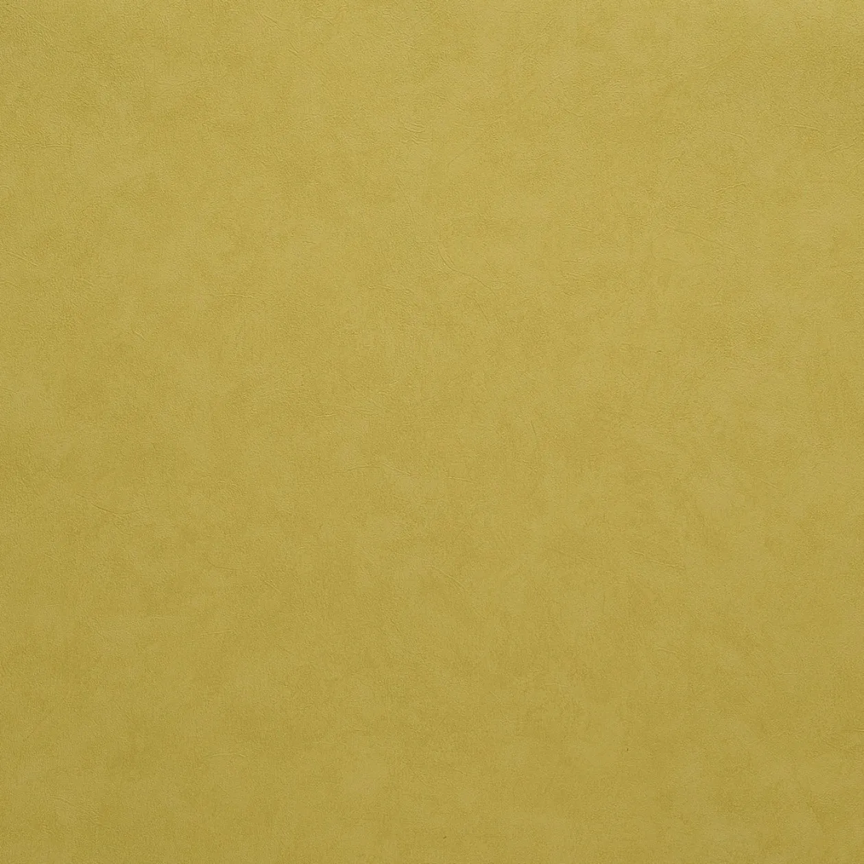 Обои для стен Caselio Romarin 60347125