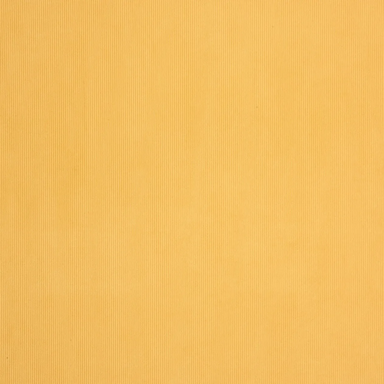 Обои для стен Caselio Seasons 61292000