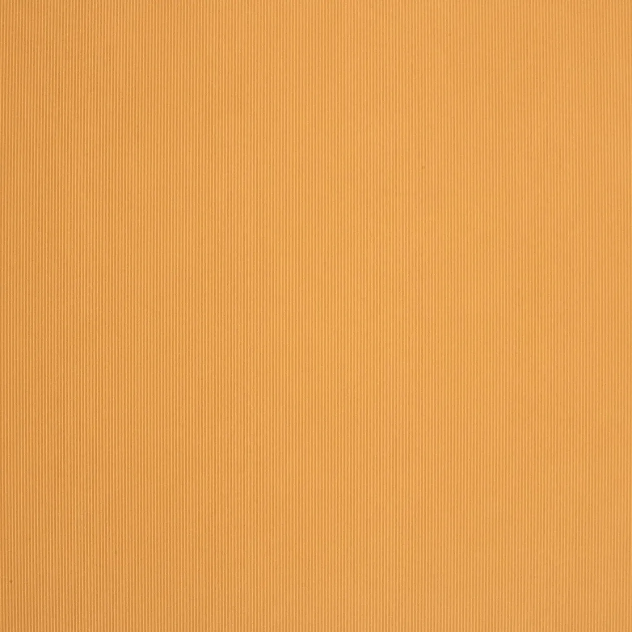 Обои для стен Caselio Seasons 61293030