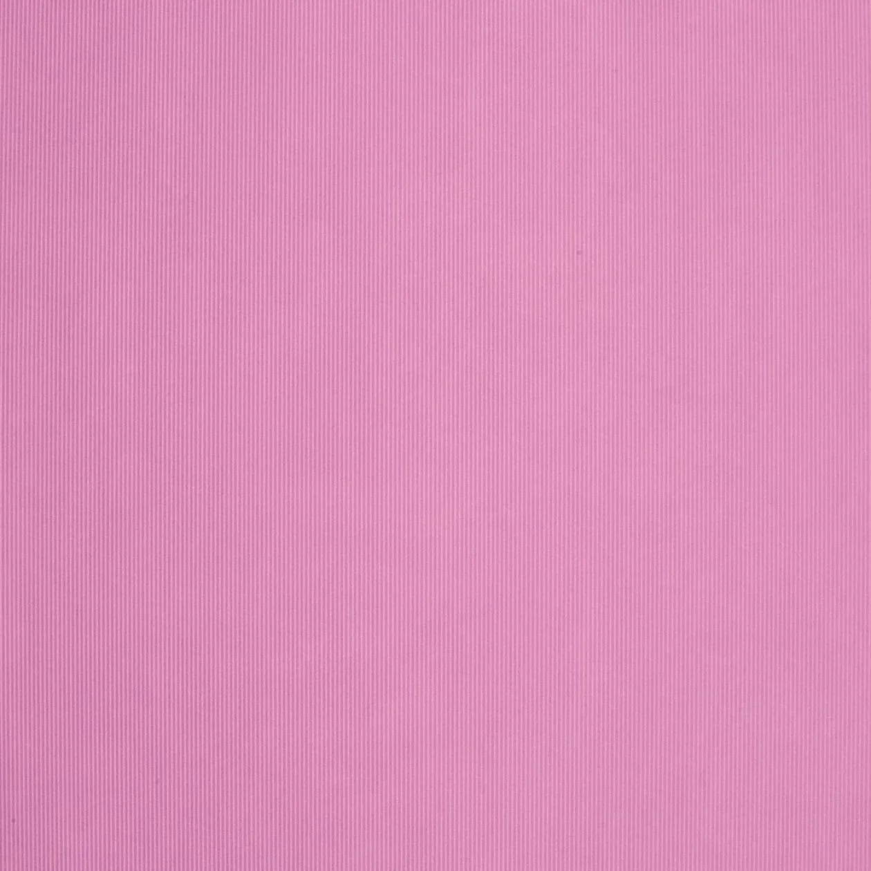 Обои для стен Caselio Seasons 61295036