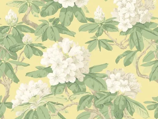 Обои для стен Cole & Son Folie 99-4021