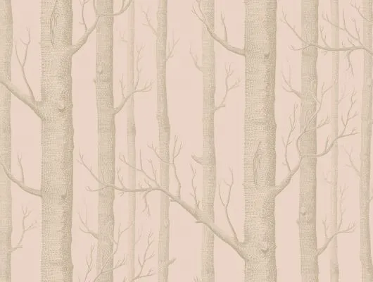 Обои для стен Cole & Son Whimsical 103-5024-