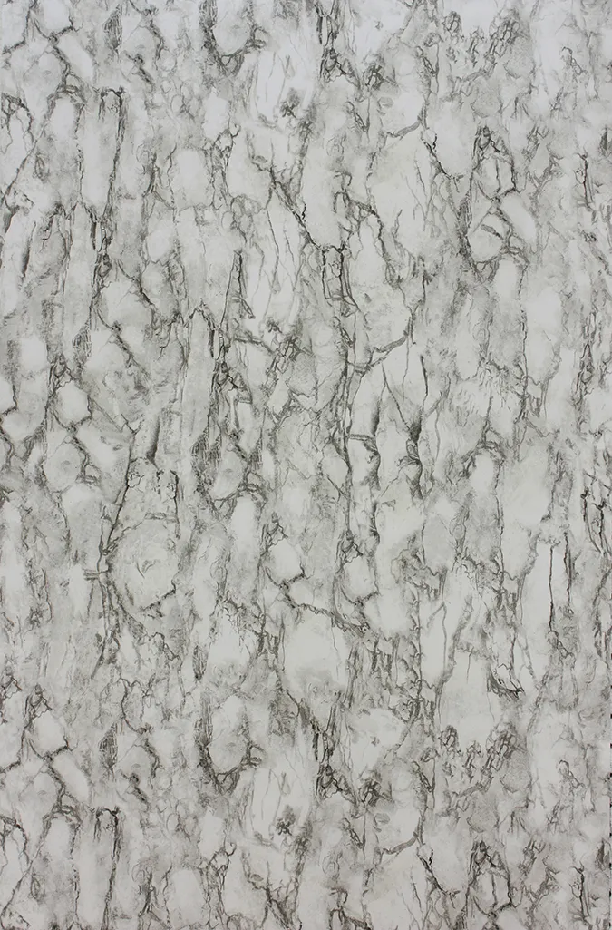 Обои для стен Nina Campbell Fontibre NCW4204-01