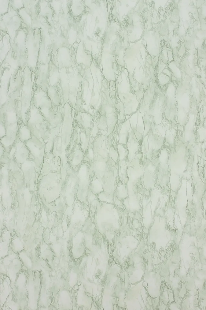 Обои для стен Nina Campbell Fontibre NCW4204-05