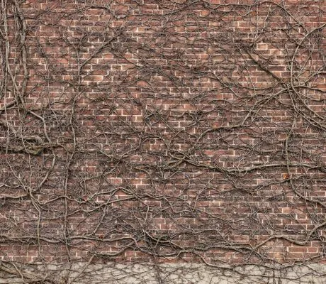 Обои для стен Mr Perswall Captured Reality e020201