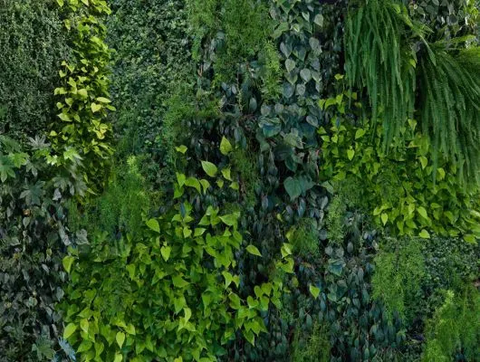 Обои для стен Mr Perswall Captured Reality e022601