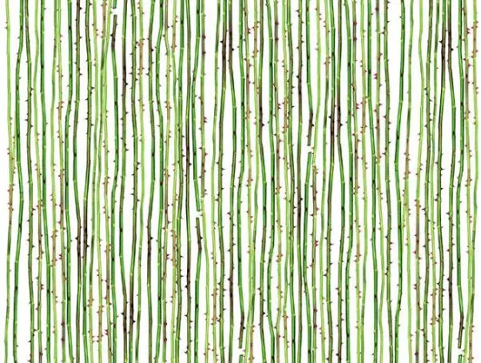 Обои для стен Mr Perswall Daily Details p191401